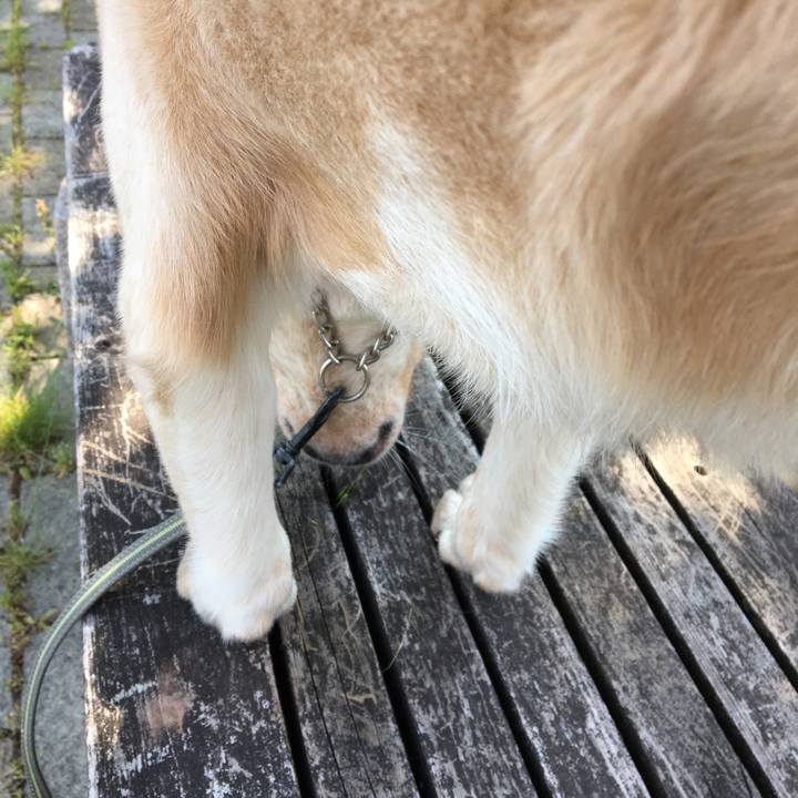 7f7e6cbd 65cf 440f 8d20 6b713e3e37ba