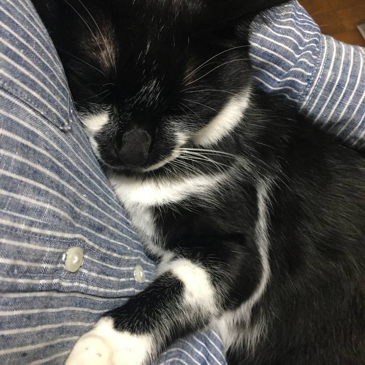 7f7eb8ba eb30 410f 867a 59d1290a5641