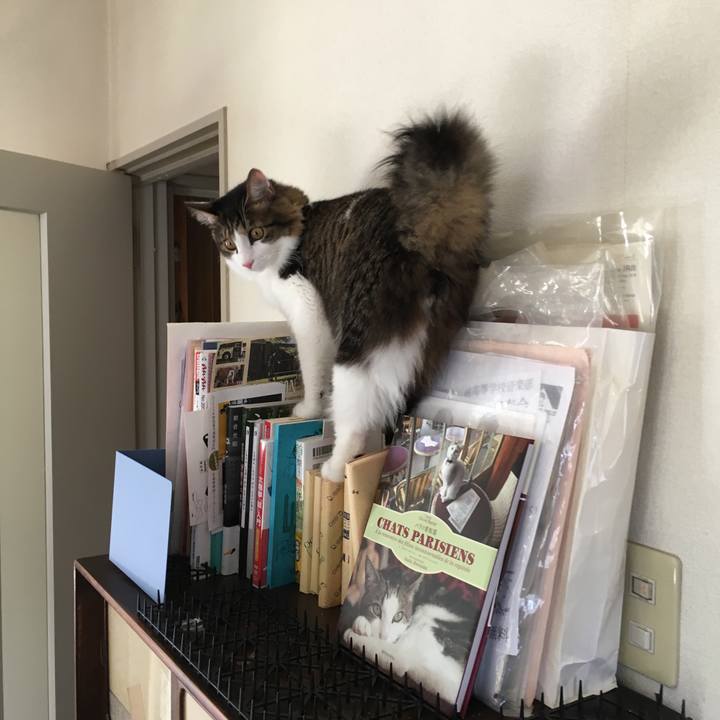 7f7ebdf4 5e11 4f7d 9fb8 8af37008aa40