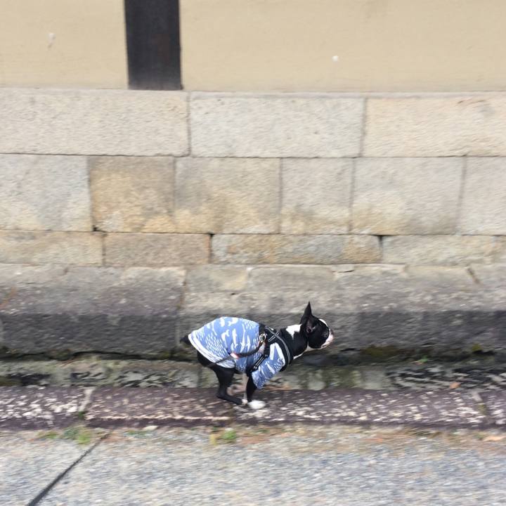 7f7f42fb 7125 483f 8974 60ffcc8a7e93