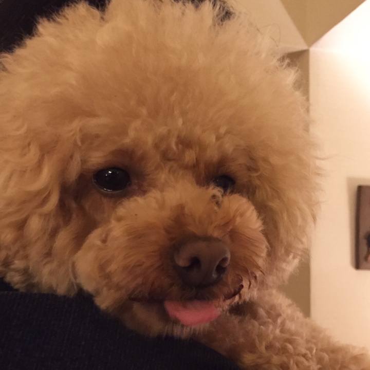 7f7fb0ec d648 4896 bc43 d332eab44155