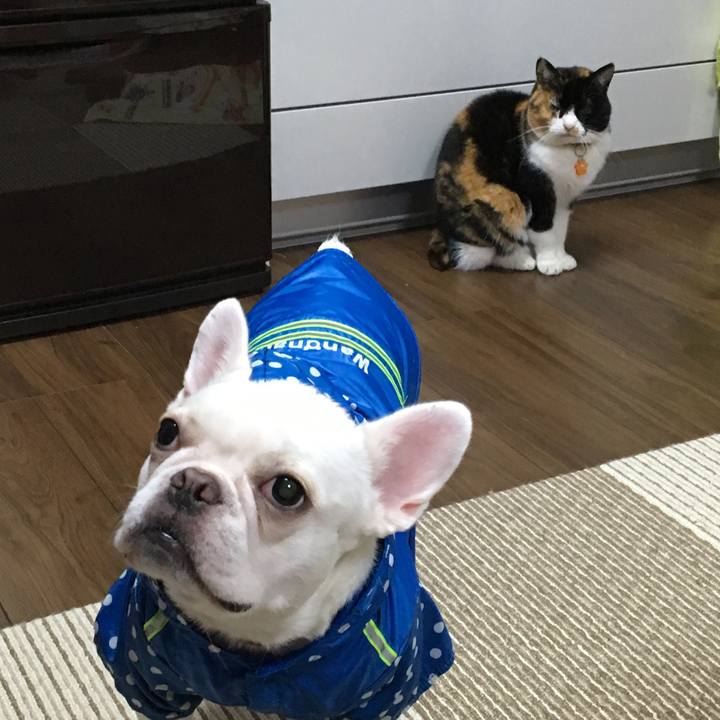 7f7ff4d9 a167 4c0f acfe 1812dbfa34a6