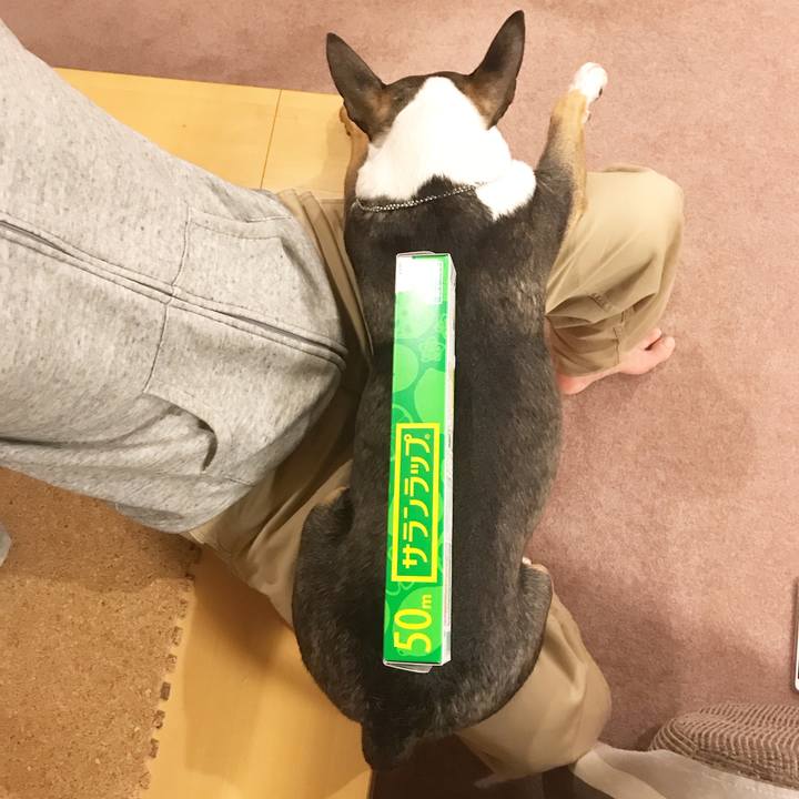 7f80286b 1411 4b9b 80d3 dffbcbde5dd9