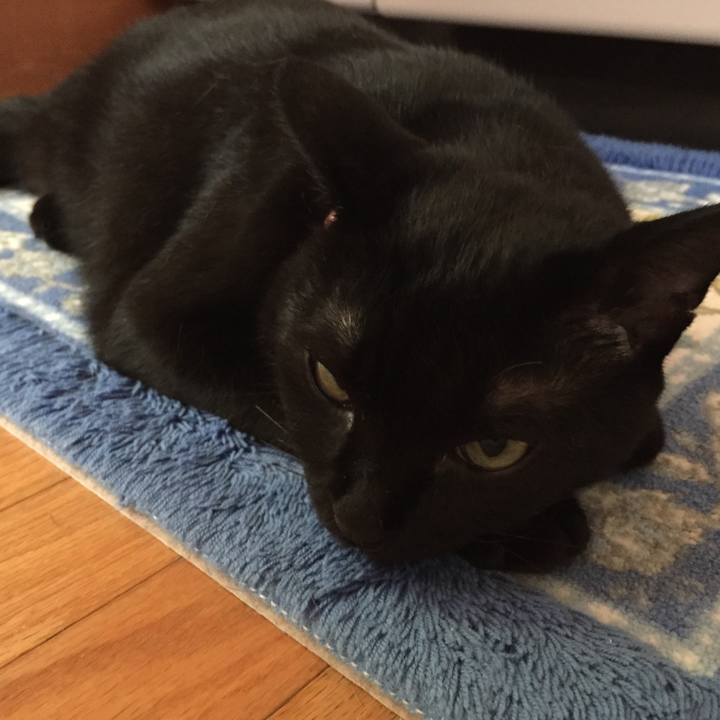 7f809c20 565b 4aef aa19 85bd9f46042c