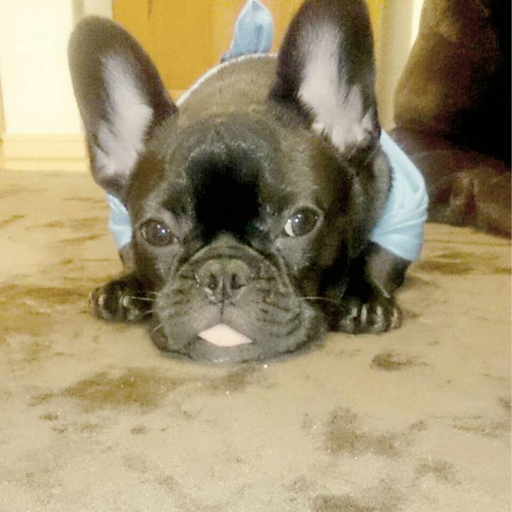 7f809d41 0273 400e 90bd abc8b1b2667b