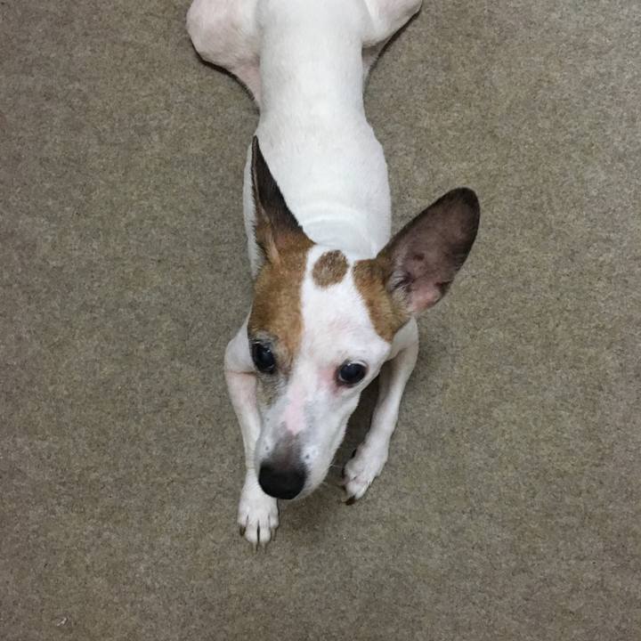 7f819e1c defa 4e0a a6ba 801f2037ce61