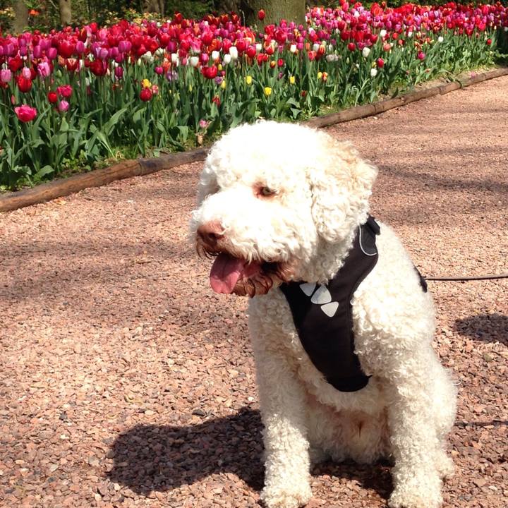 7f81c305 3d59 4c9e 81f7 6188e3184d8c