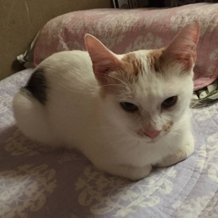 7f823b04 9709 4286 ad52 afd7f87042ef