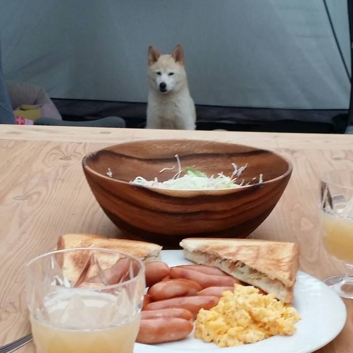 7f829ef9 254e 4b2a 9561 537a1be4bc5d