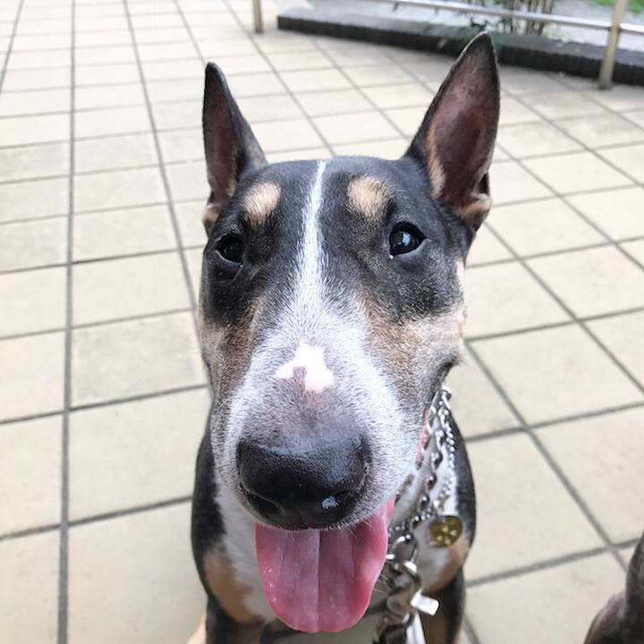 7f82b358 be75 4c06 9018 851acb6f1547