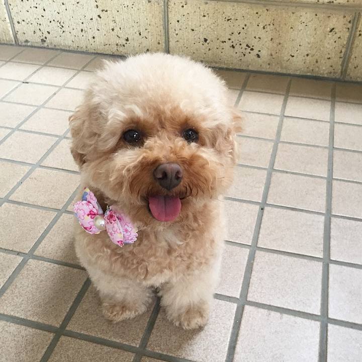 7f830693 9d7b 440e bb6d d9cb2ac37b39