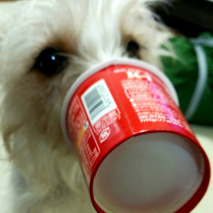 7f831ac1 e4bb 4ec0 962d d17d2a9ebf68