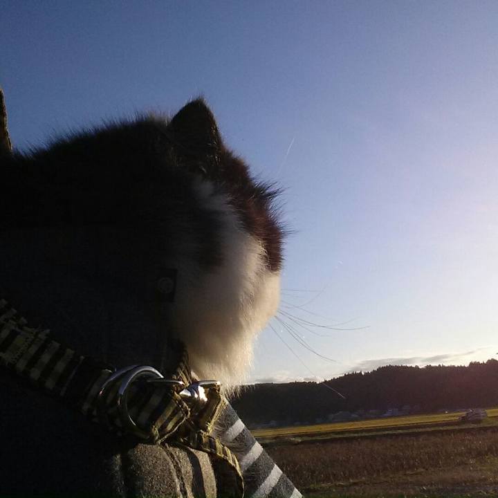 7f836d7b 1260 4589 a0bc caf8c9e7225f