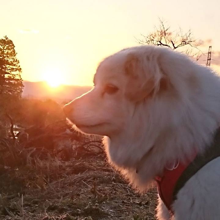 7f83be2c 6504 4388 bd36 20ac98005172