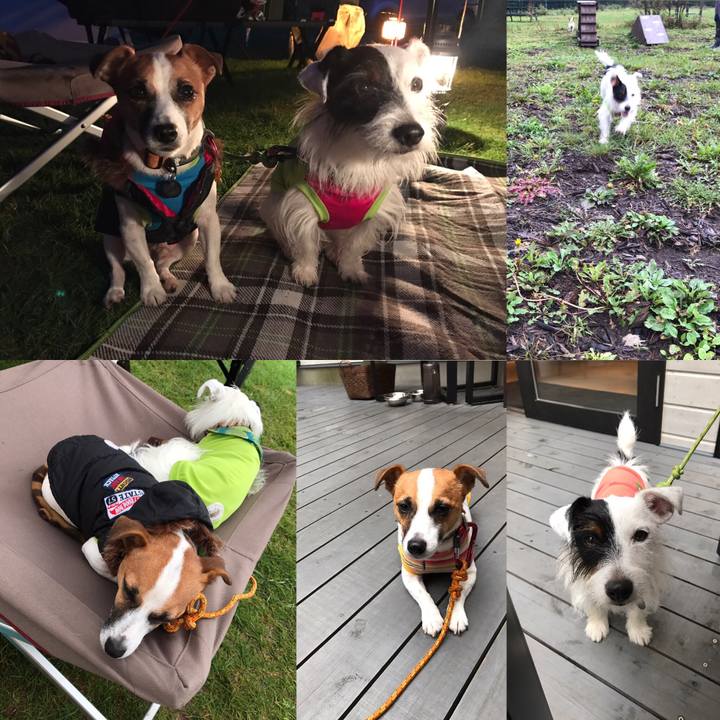 7f83d0f3 86da 41ff a18d baeb2a588c40