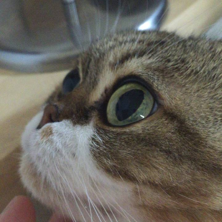 7f83d6aa f4ab 44a2 bc43 3ed14c9f84f2