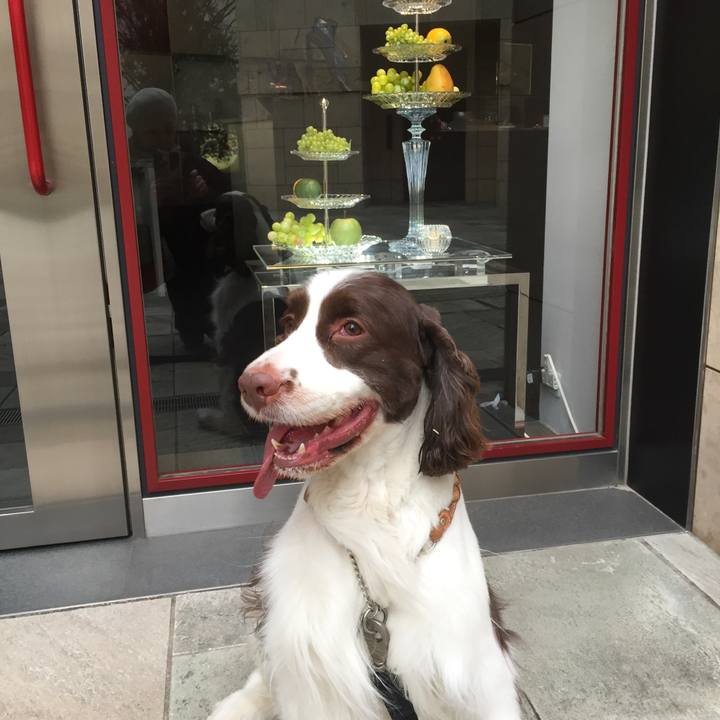 7f84522d ebb4 4c17 b2e0 e939aa6fef8d