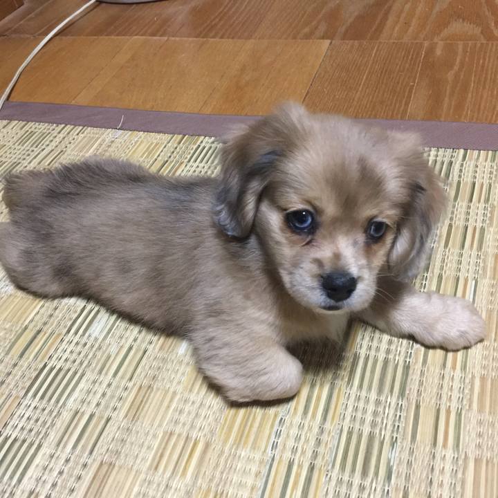 7f84597c be41 4c67 8746 4a284baa01c2