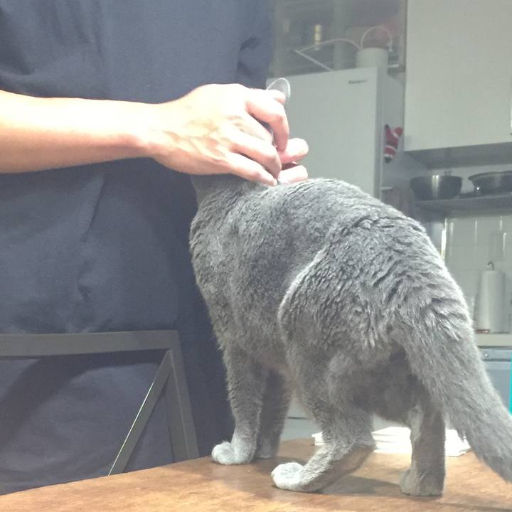 7f849e5a 9188 42c1 86b0 681909fed267