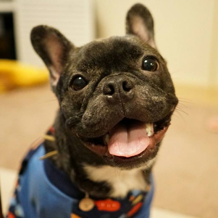 7f84df37 c365 4681 80bf 4dd323fd0300