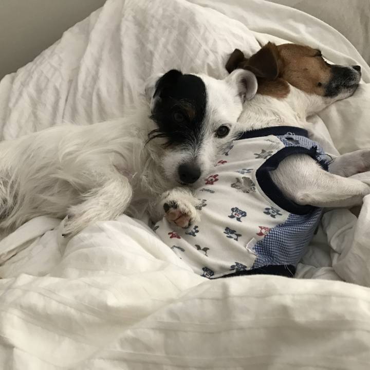 7f8521e6 e03b 4cb6 a670 67707346ad74