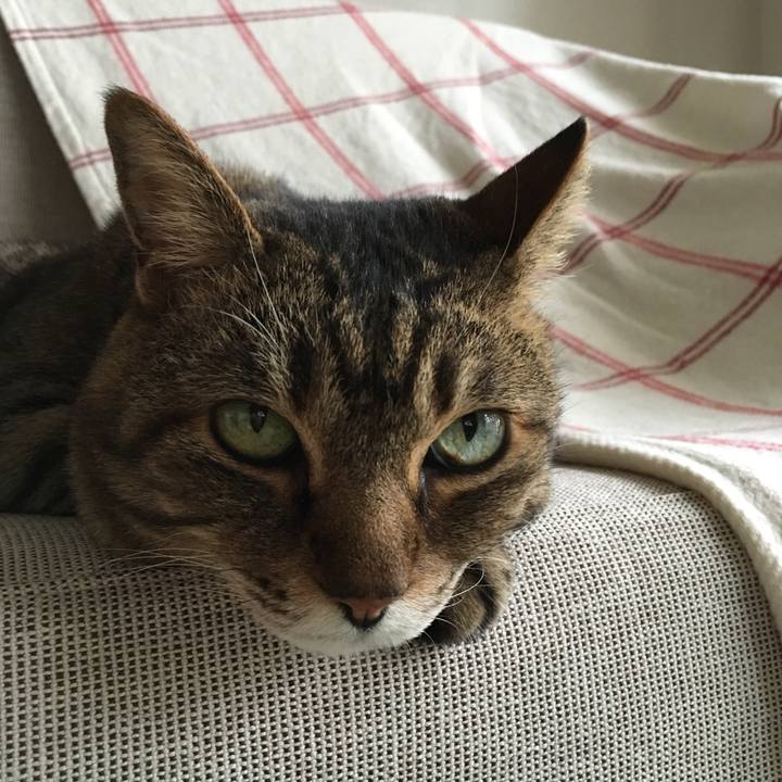 7f852dd2 0368 4eab a430 a453ffa1978b