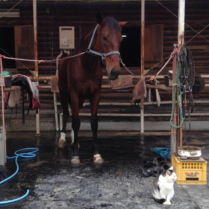 7f864f4c 9a58 4106 8e7e 73b01f5ea3b5