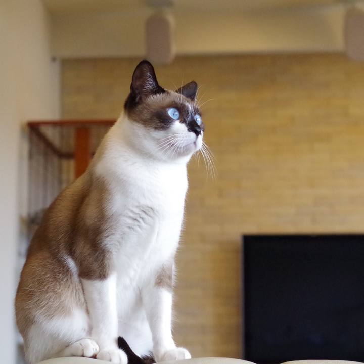 7f8695ee 530b 4c96 982c c019566c2692