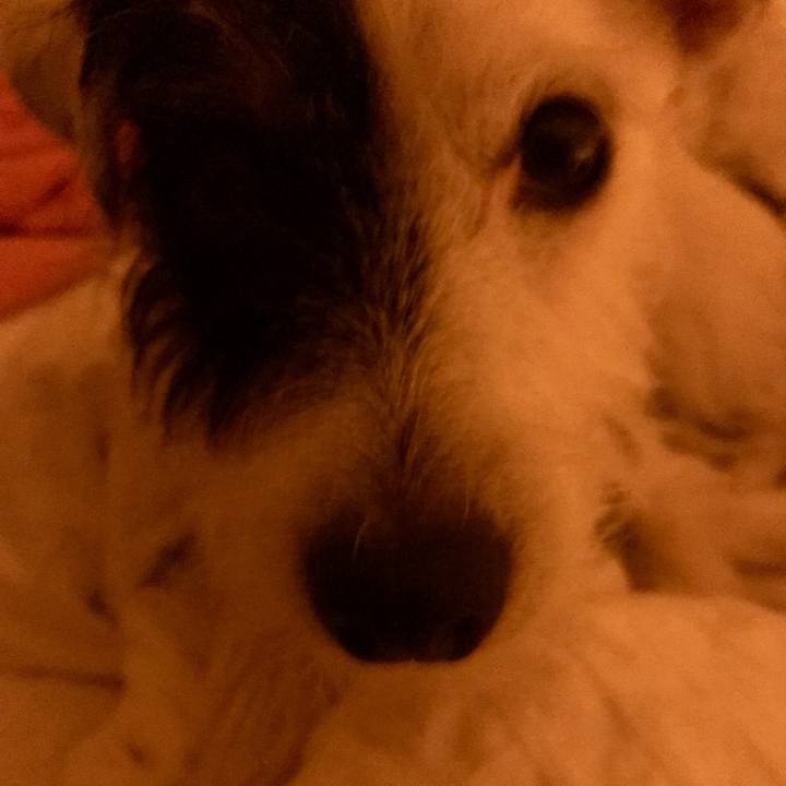 7f878b72 a452 46c6 b146 f10d951b49f3