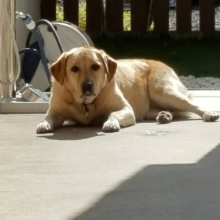 7f87e508 cab2 4d05 9b59 88f563b8feaa