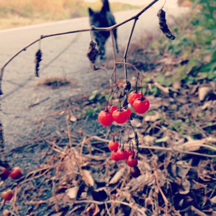 7f88097b a520 4351 a280 1dd87093c79d