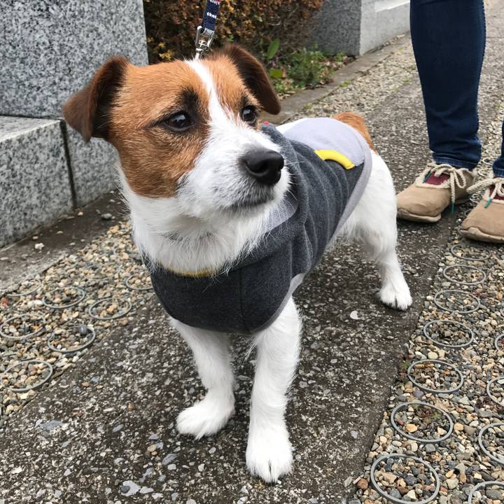 7f88676a 4fd9 4ebb 8bb3 dcb30451bd16