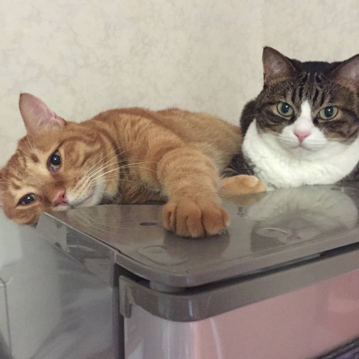 7f893e3f 71a3 4305 a994 ca8194c8652e