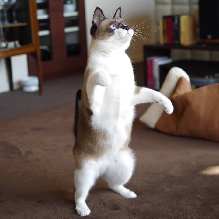 7f89ec9c c13f 4d0a 91d5 c27dd881e5a2