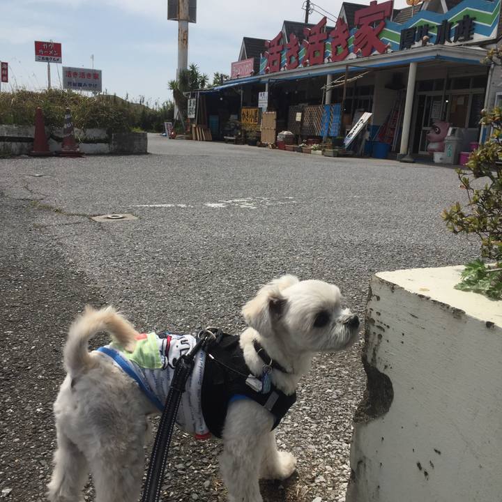 7f8a75db 8f82 47da 8d89 a82fbb4d0368