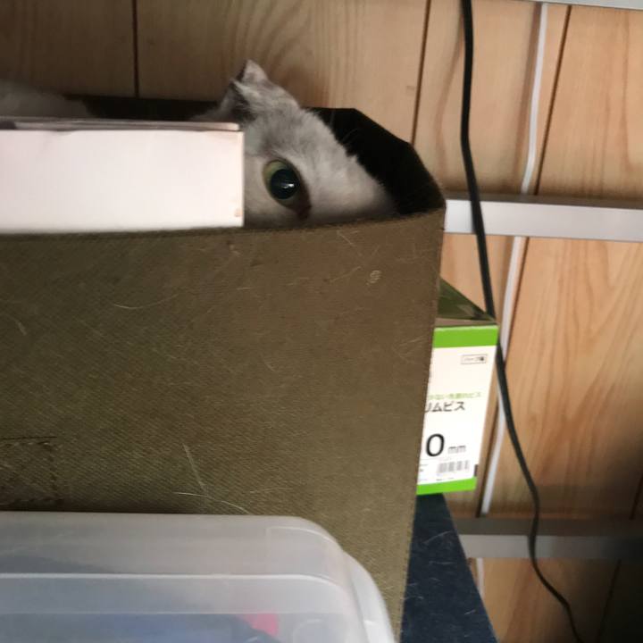 7f8b415f a6dd 4e27 acb9 1ceadbd17411