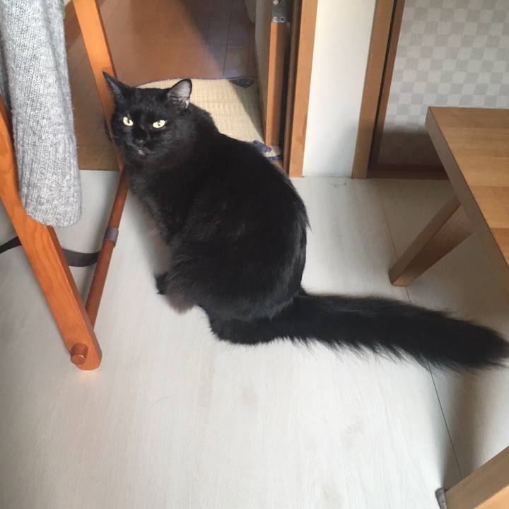 7f8bdfa1 ffb3 4e6c a220 1e4c922d79f7