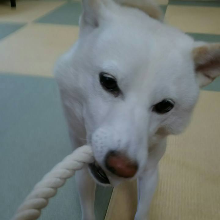 7f8be38a 4704 42ad 8c51 0ffa7e49f02d