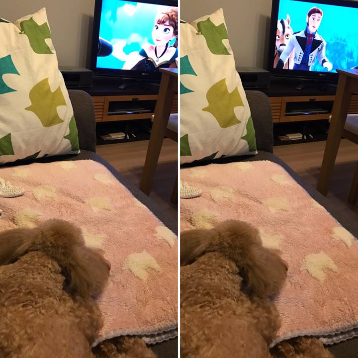 7f8c78b0 8d87 4815 8072 23bb563f0dc8