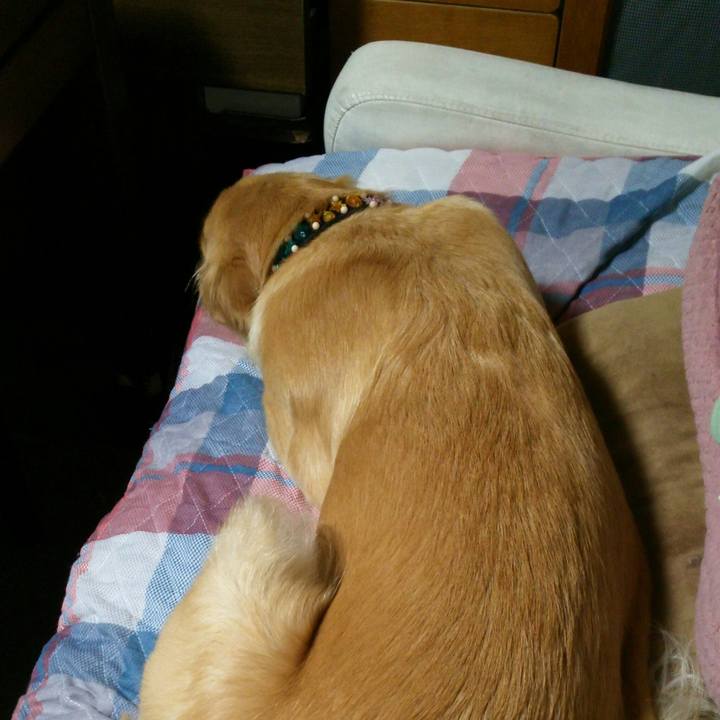 7f8cf435 0953 4545 842d f6c5e8313ad9