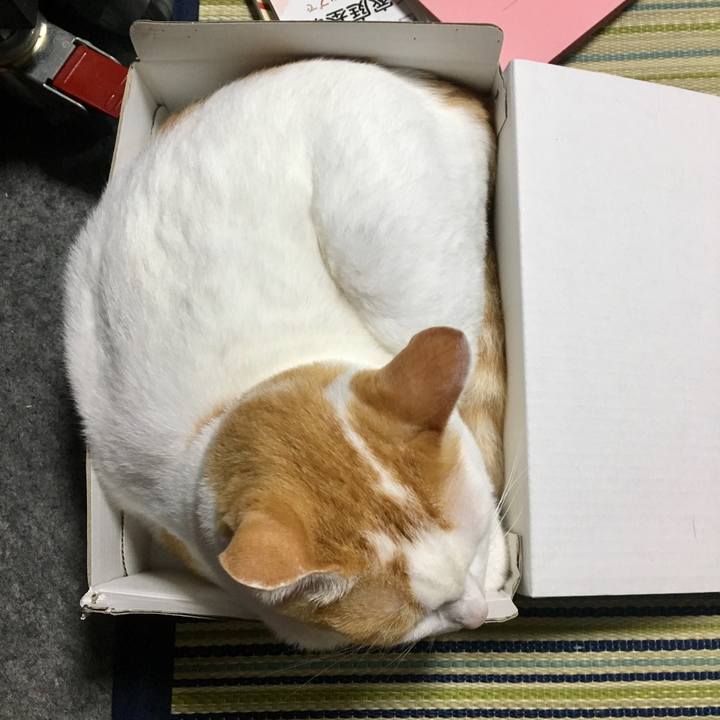 7f8d5c8b 5d74 4647 9d00 1fea3ad89b07