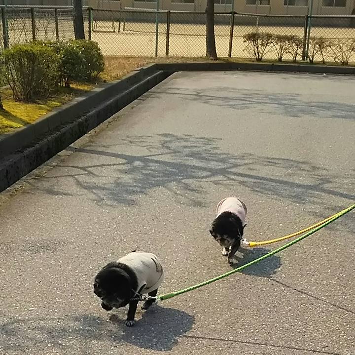 7f8d614b 218c 4189 bfeb f6cb4958cae6