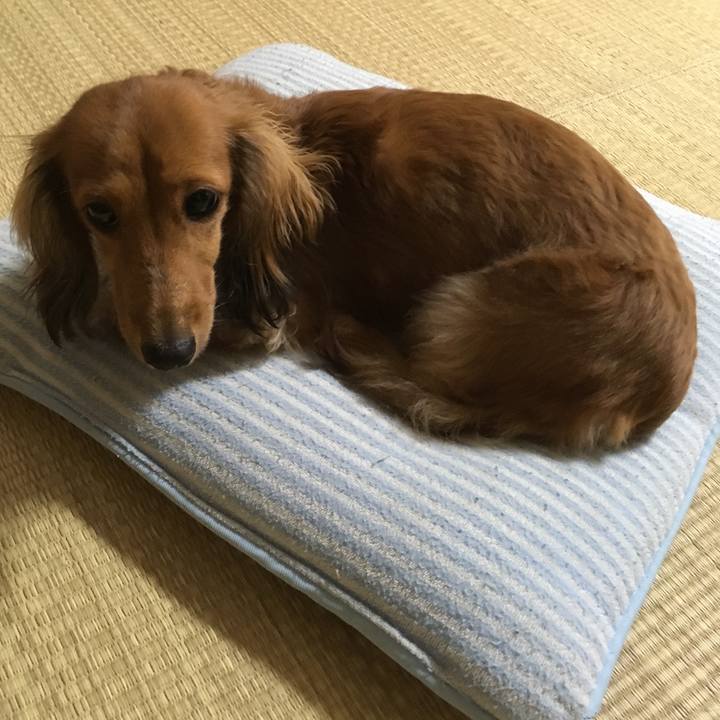 7f8dbafb 65b2 4066 944b d35fb1ef9338