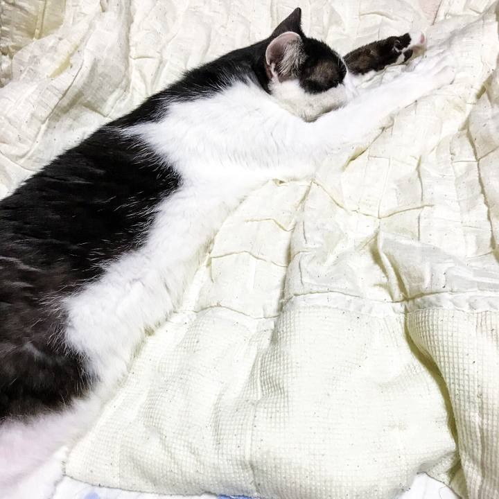 7f8e712b 1ab3 4062 85a1 40ceeb27dae9