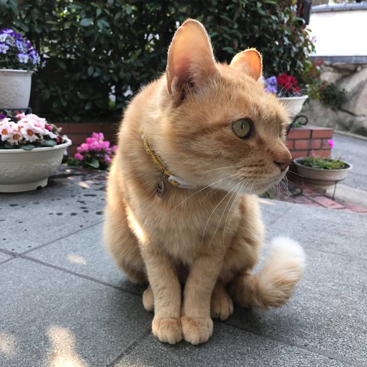 7f8ec128 6989 4607 b515 592a4995924f