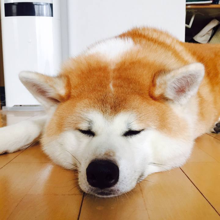 7f8f2538 2d07 4f31 844e 640d445f3a6e