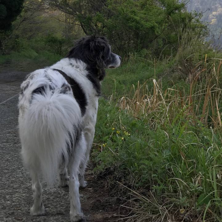 7f8f2c2e 1684 4281 a4da b0ffb99da7af