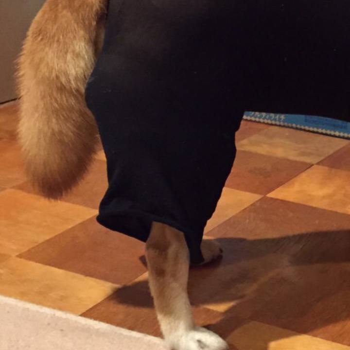 7f8f52cf 74e9 4f73 9ea1 be491d2d8e04