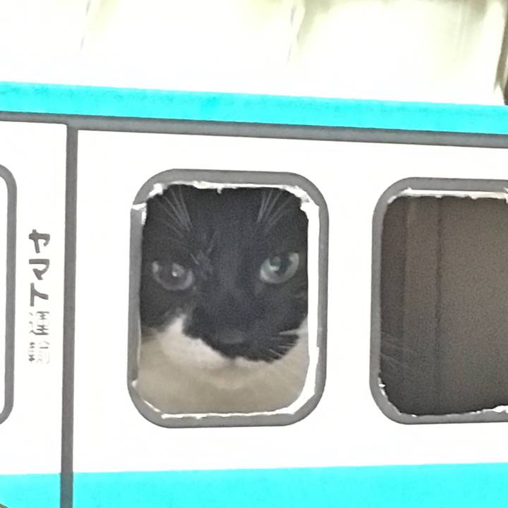 7f8fc212 b832 4297 802f 4c39dd45cdc6