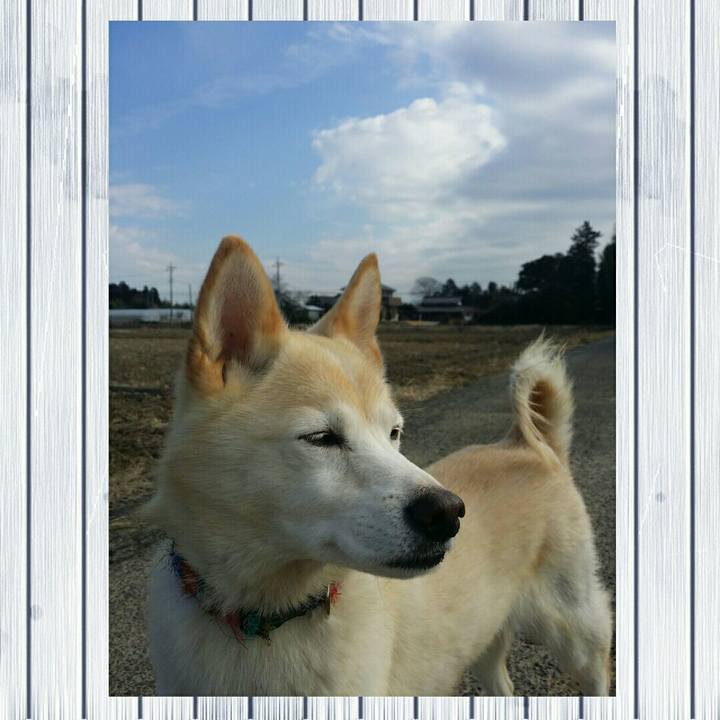 7f90835b 8134 436a 8008 9f0aebe106ec